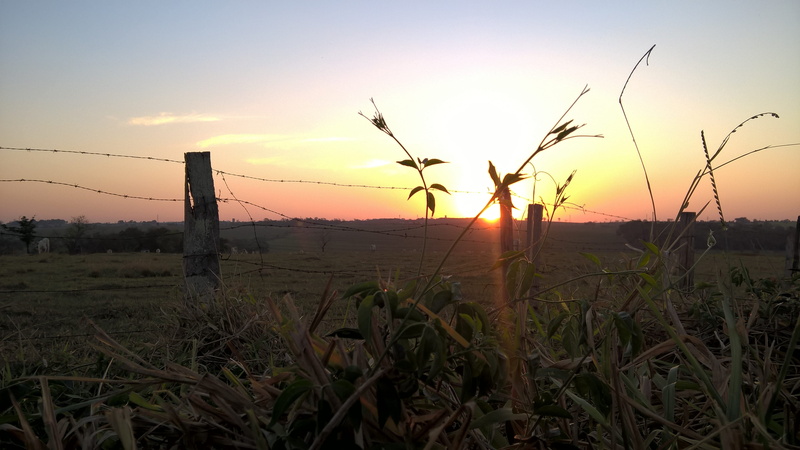 barrier, beauty in nature, boundary, camp, no people, sunset, orange color, landscape, grass, sun, 4K, brasil, plant, nature, non-urban scene, tranquility