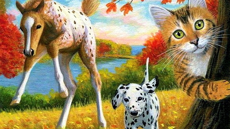 animal themes, animal, portrait, dalmatian dog, group of animals, whisker, Natur, looking at camera, vertebrate, mammal, animal representation, 720P, feline