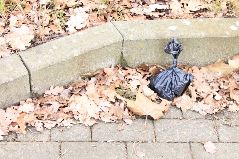 plant, dry, close-up, leaves, footpath, plastic bag, falling, outdoors, no people, stone, change, paving stone, 1080P, plastic, garbage, leaf, sanitary bags