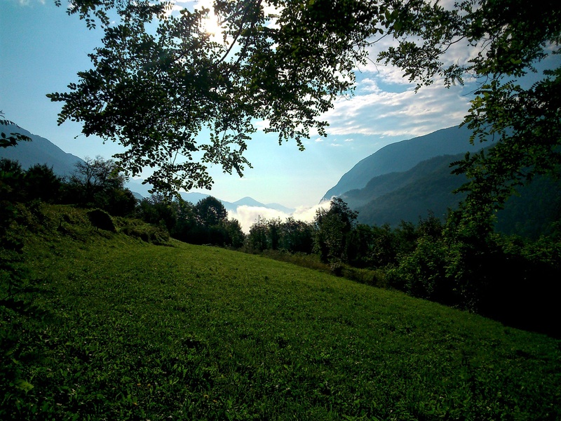 green color, sky, slovenia, growth, mountain range, tranquility, landscape, nature background, tranquil scene, beauty in nature, spring, non-urban scene