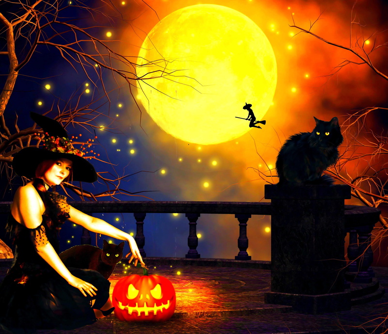 fantasy, halloween, full-moon, dark, pumpkin, black-cat, 2K, moon, stars, trees, witch, witches, night