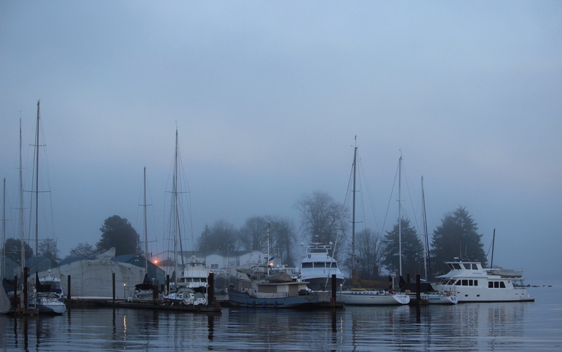 moored, nautical vessel, plant, vancouver, sky, marina, no people, water, fog, canada, outdoors, transportation, harbor, coal harbour, port, harbour, day