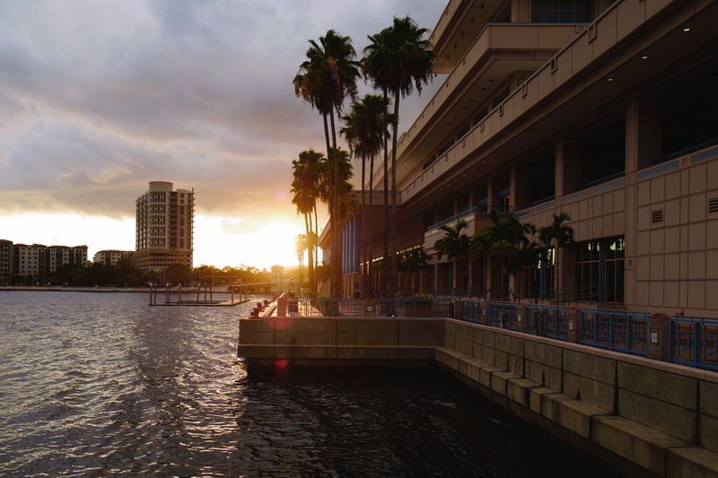 sky, no people, outdoors, architecture, river, reflection, tampa, palm trees, building exterior, united states, 4K, swimming pool, palm tree, water, florida
