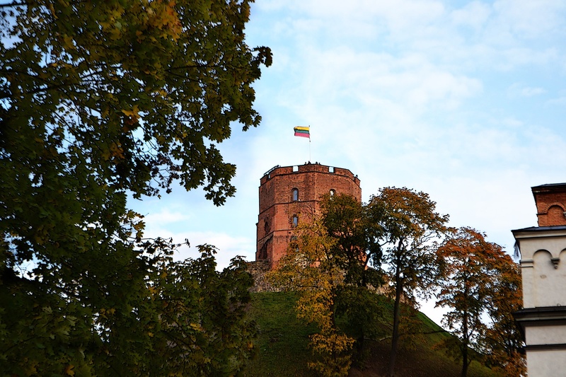 1080P, guidance, day, historical, tree, autumn, building, no people, sky, growth, architecture, building exterior, cloud - sky, built structure, golden