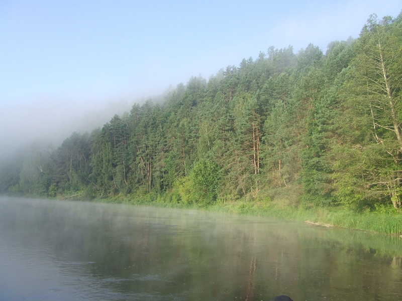 green color, outdoors, beauty in nature, environment, Landscape, no people, outdoor, nature, tranquil scene, river, Lithuania, 1080P, tree, land, hazy