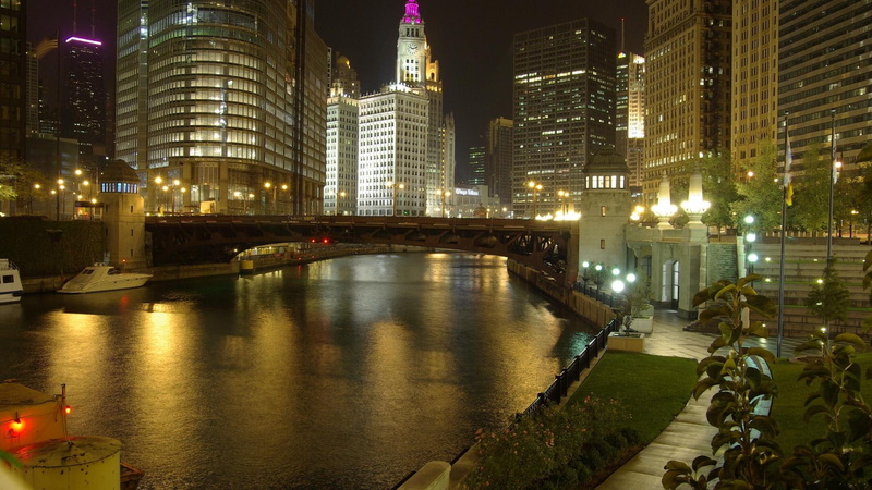lights, animals, bridge, chicago, 1080P, night, river, skyscrapers