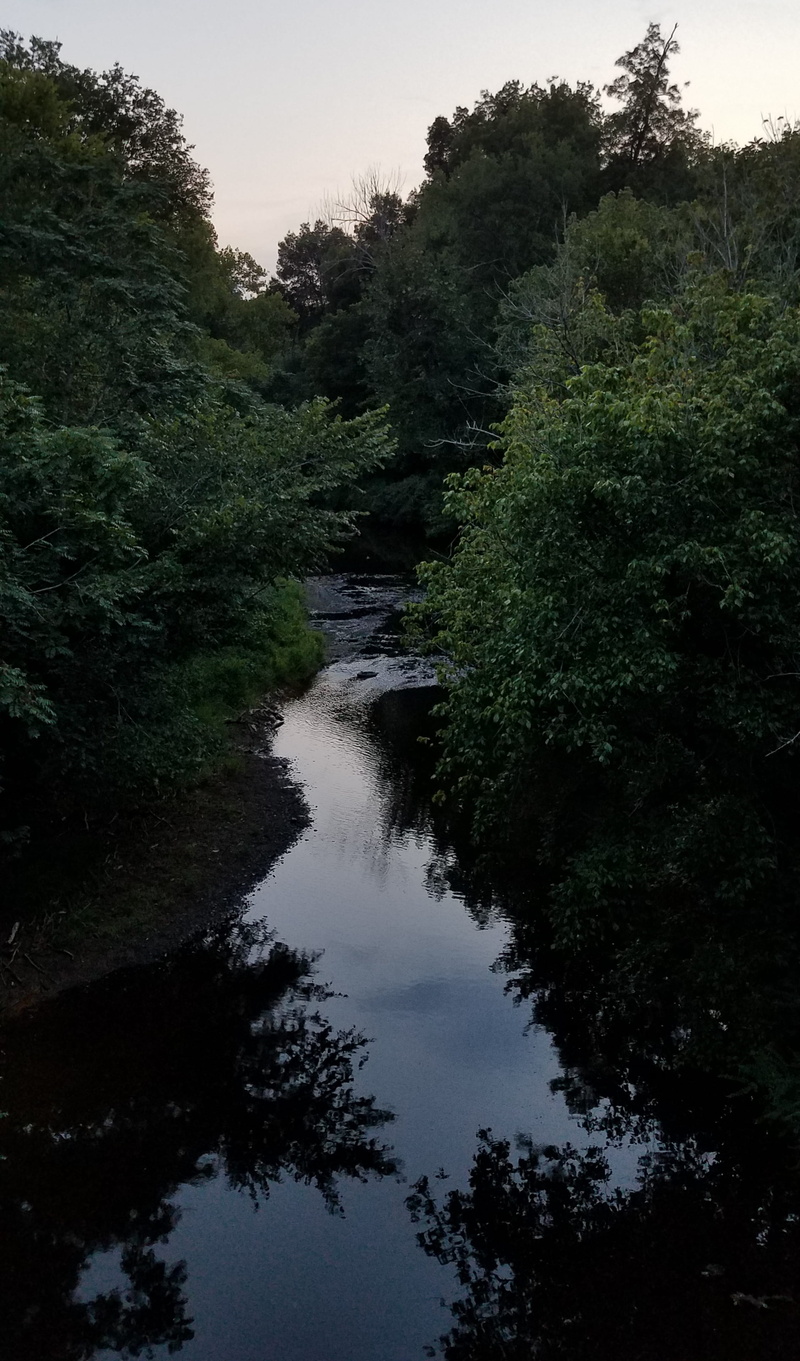 beauty in nature, flowing water, foliage, no people, sky, 2K, historic, tree, water, hillsborough, green color, dusk, day, tranquility, historical, old town