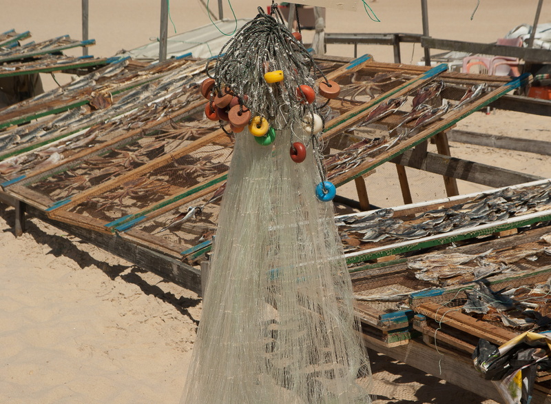 abundance, working, fishing, log, machinery, built structure, outdoors, land, Nazaré, rod, wood, Dryers, fishing industry, day, large group of objects