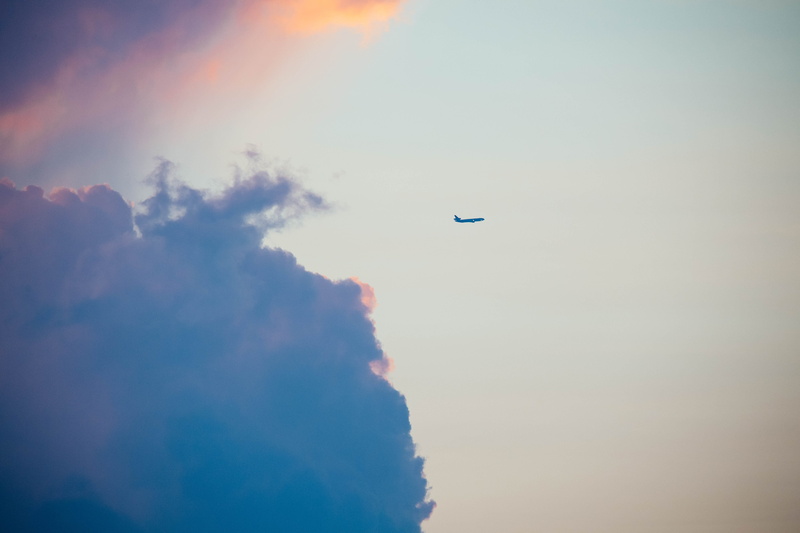 sunlight, summer, plane, scenics, air, dusk, travel, cloud - Sky, clouds, sky, 5K, cloud, cloudbank, bird, scale, day, sunset, airplane, nimbus, passenger jet