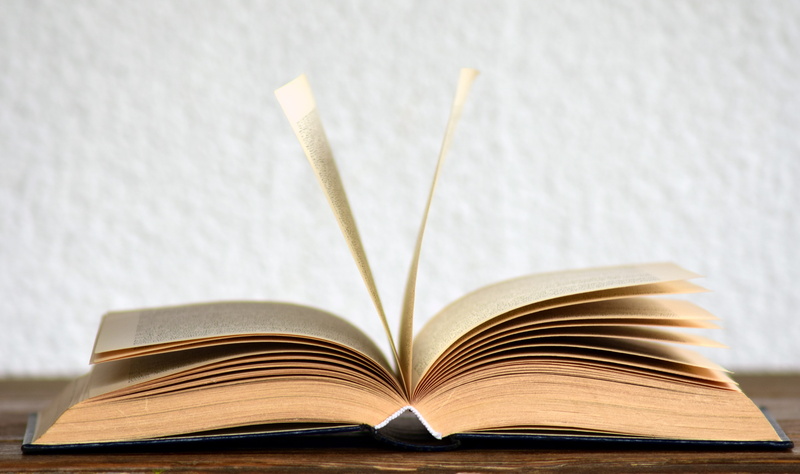novel, college, information, paper, textbook, page, browse, dictionary, absence, book, facts, learning, 5K, hardcover, poetry, book pages, table, wisdom