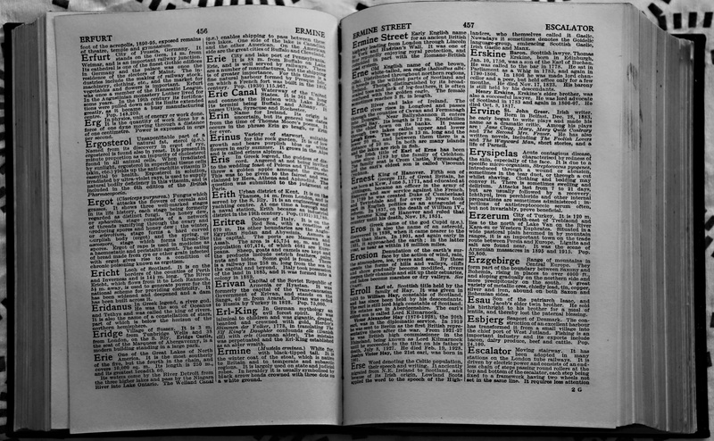studying, communication, pages, religion, design, collection, knowledge, reading, activity, close-up, education, 4K, interior, information, book, wisdom