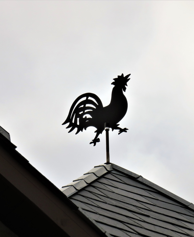 male animal, animal, figure made of metal, hahn, roof, sky, house roof, chicken - bird, rooster, weather vane, building, cockerel, outdoors, original, low angle view