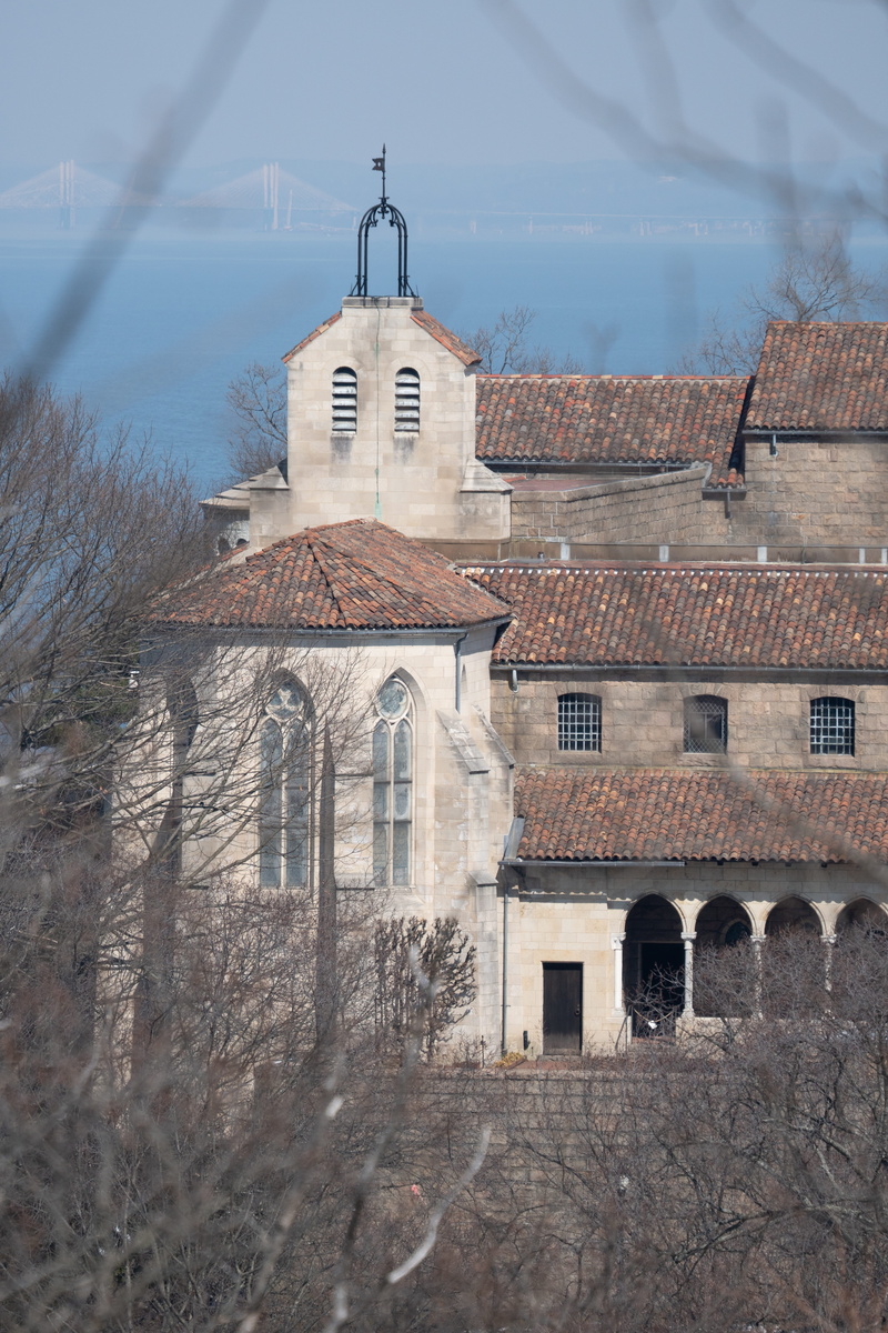 outdoors, architecture, tile roof, urban, dome, door, weather, sky, tower, stork, bird, steeple, nature, place of worship, history, building exterior, belief