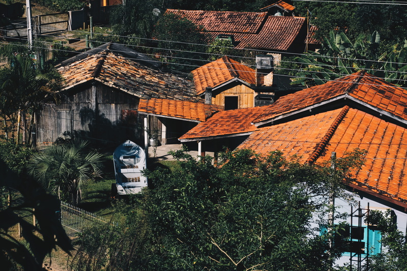 bird, outdoors, day, built structure, roof, art and craft, steeple, plant, human representation, neighborhood, nature, roof tile, no people, weather, countryside