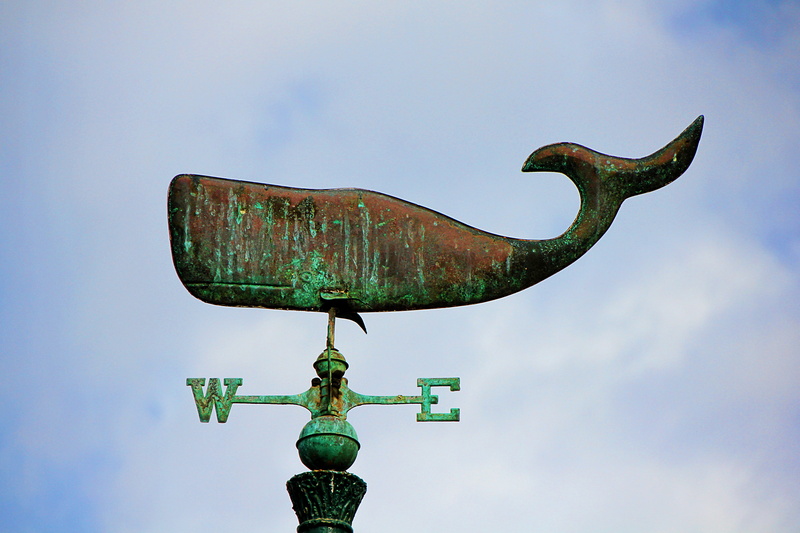 iron, outdoors, cloud - sky, fun, low angle view, 4K, stainless, patina, rusty, day, animal representation, sky, representation, communication, weather vane