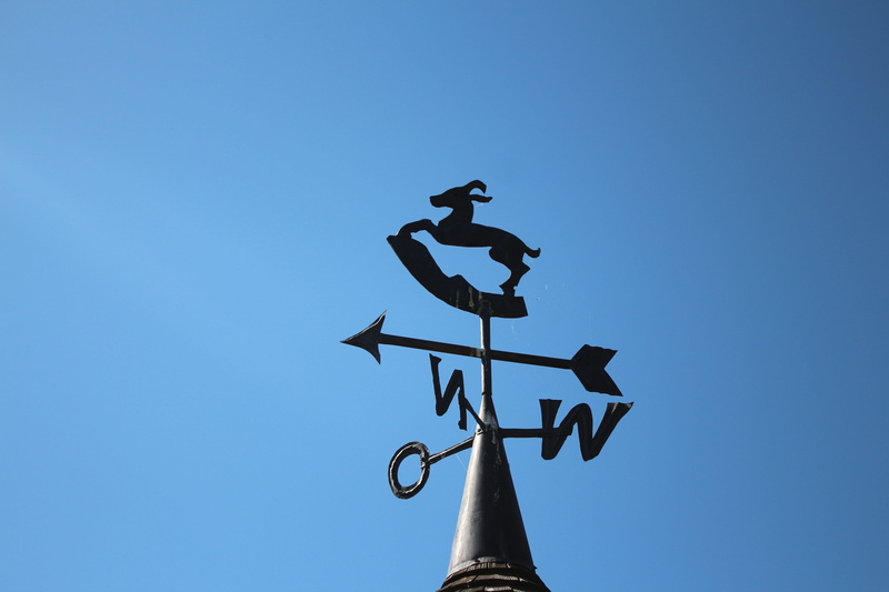 north, forecasting, communication, points of the compass, 5K, animal representation, text, Weather Vane, left, symbol, meteorology, arrow symbol, Wind Direction