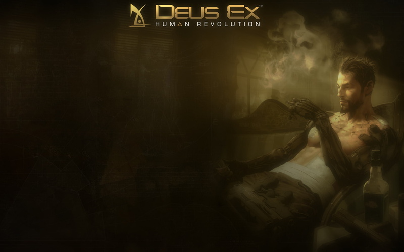 hairstyle, adult, one person, lifestyles, females, video games, young women, casual clothing, women, Deus Ex: Human Revolution, indoors, young adult, long hair