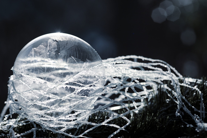 purity, frost, cold temperature, selective focus, bubble, ice, sphere, close-up, network, fragility, outdoors, winter, water, 5K, snow, frozen, drop, vulnerability