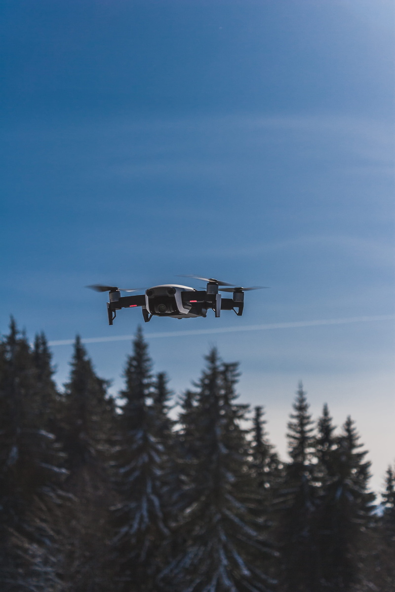 tree, airplane, helicopter, transportation, trees, plant, fir, on the move, animal, motion, 2K, nature, mid-air, travel, flying, aircraft, jet, day, bird