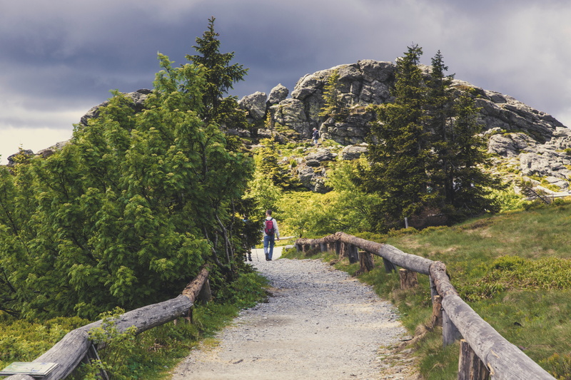 white, man, green color, trail, adult, men, day, mountain, beauty in nature, 5K, scenics - nature, full length, landscape, leisure activity, hill, lifestyles