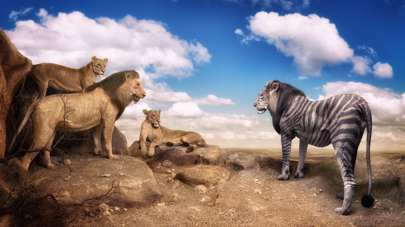 Photo Manipulation, lion, no people, 1080P, feline, vertebrate, Trees, land, day, animal family, animals, outdoors, humor, digital art, nature, animals in the wild