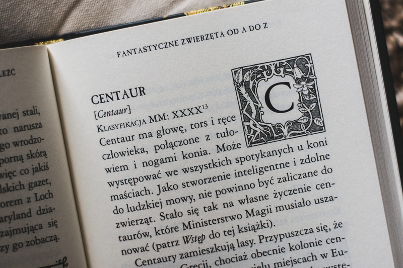 close-up, potter, find, page, communication, business, finance, paper currency, legal system, hobby, selective focus, law, book, as, lexicon, newt, and