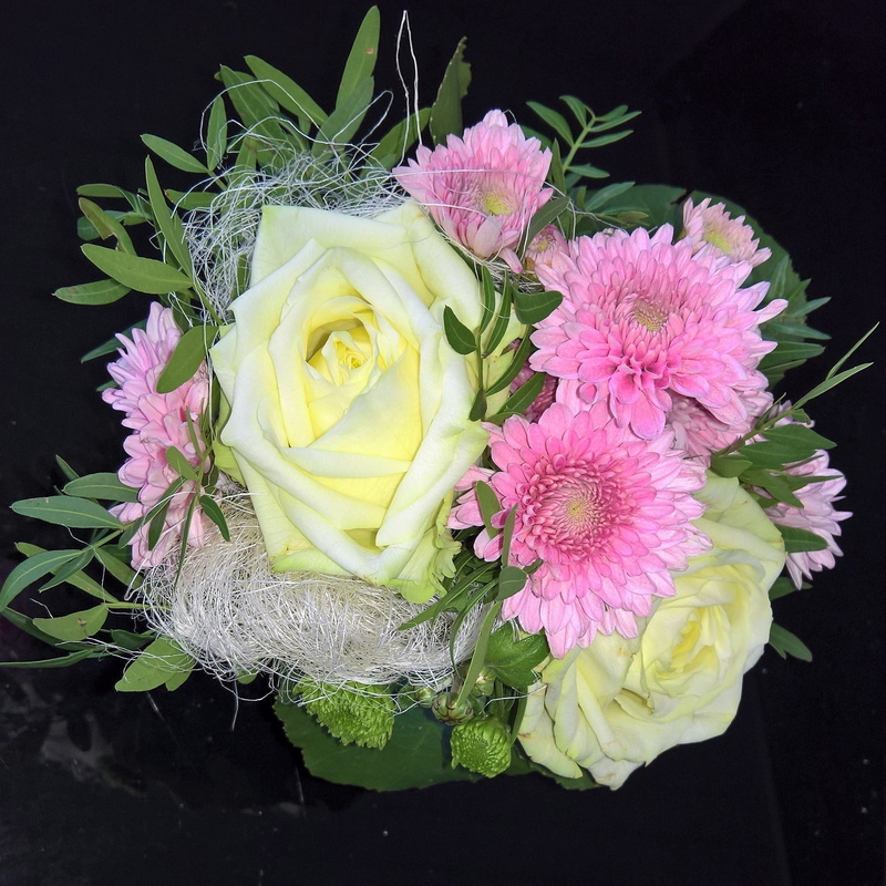 vulnerability, pink color, purple, no people, flower head, petal, chrysanthemums, flower, asters, small green leaf branches, bunch of flowers, inflorescence