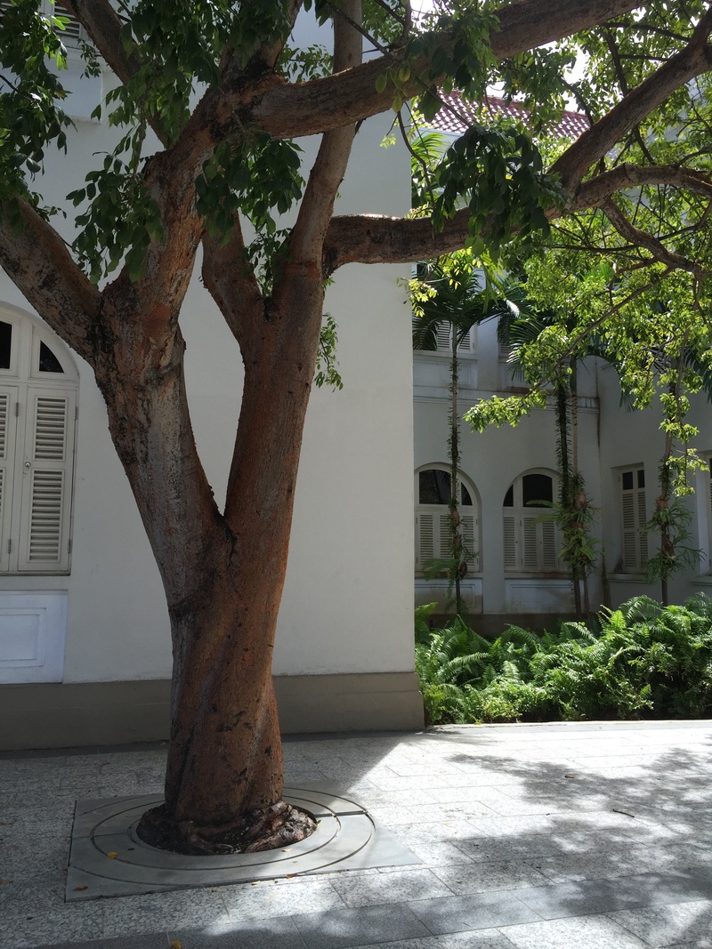 flat, street, icon, green, no people, business, home, architecture, glass, nature, scene, modern, estate, structure, building exterior, branch, white, 2K