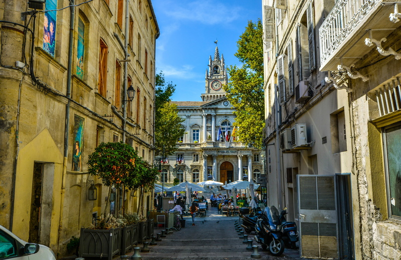 town, back, transportation, nature, opera house, history, land vehicle, city, plant, street, day, alleyway, facade, building, mode of transportation, outdoors