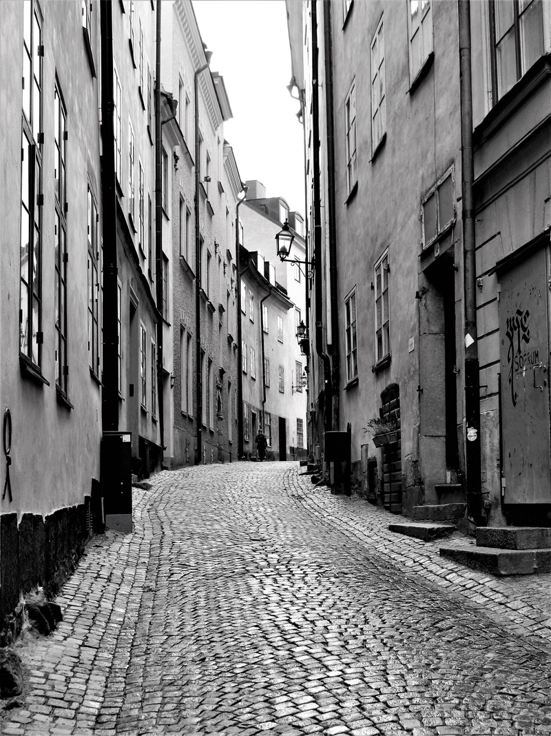 cobblestone, street view, residential district, no people, old, outdoor, beautifully, backe, beautiful house, sweden, house, capital, the brow of a hill