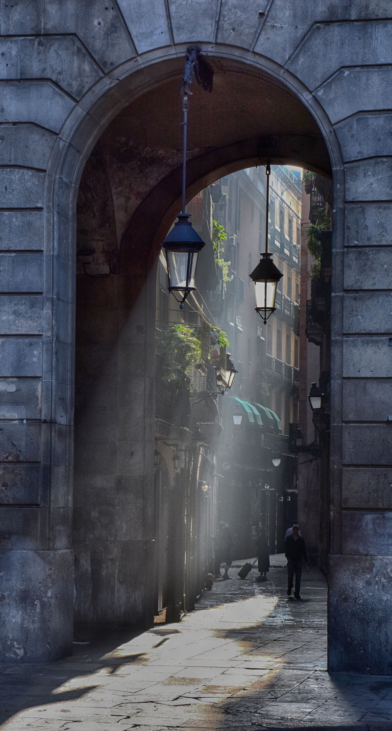 people, arched, passage, input, full length, back light, men, transportation, hallway, building, day, walking, the way forward, incidental people, old town