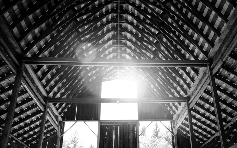 design, sunflare, farm, directly below, low angle view, glass - material, built structure, architecture, roof, ceiling, pattern, architectural feature