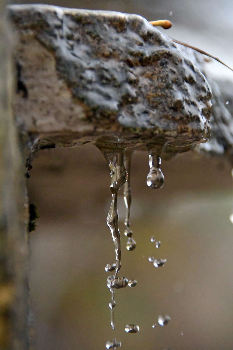 just add water, close-up, day, motion, drop, floral, transparent, splash, running water, winter, wet, icicle, flowing water, cold temperature, no people