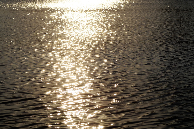 waterfront, scenics - nature, shiny, reflection, scintillating, rippled, sunlight, nature, full frame, beauty in nature, sky, 5K, tranquility, water, sun