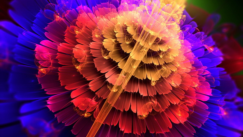 Flowers, 1080P, Abstraction, Colors, Petals, Blue, Red