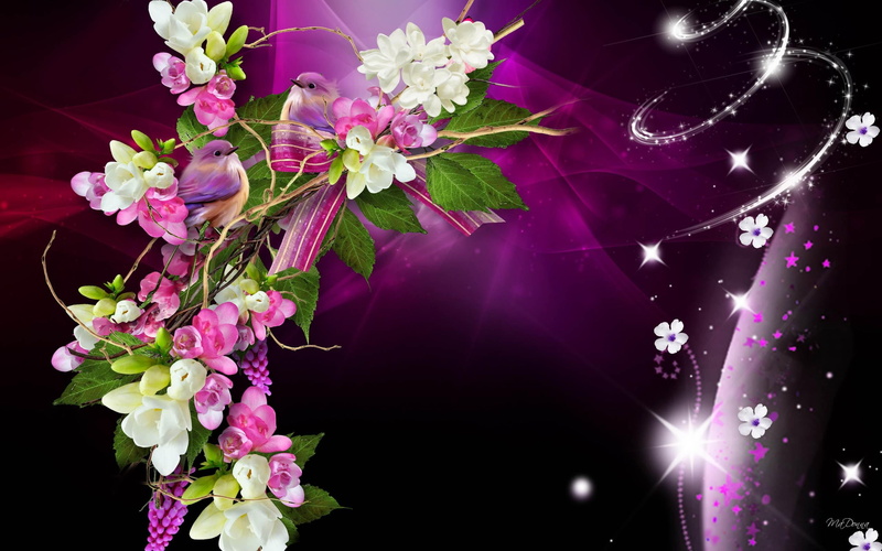 wondrous, flowers, emotionalistic, 2K, fabulous, glitter, sensational, plumeria, astounding, dramatic, marvelous