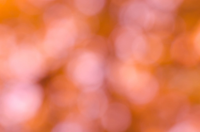 lens, summer, abstract backgrounds, bright, creativity, ethereal, leaf, purple, 1080P, vibrant color, pink color, close-up, light, no people, decorate