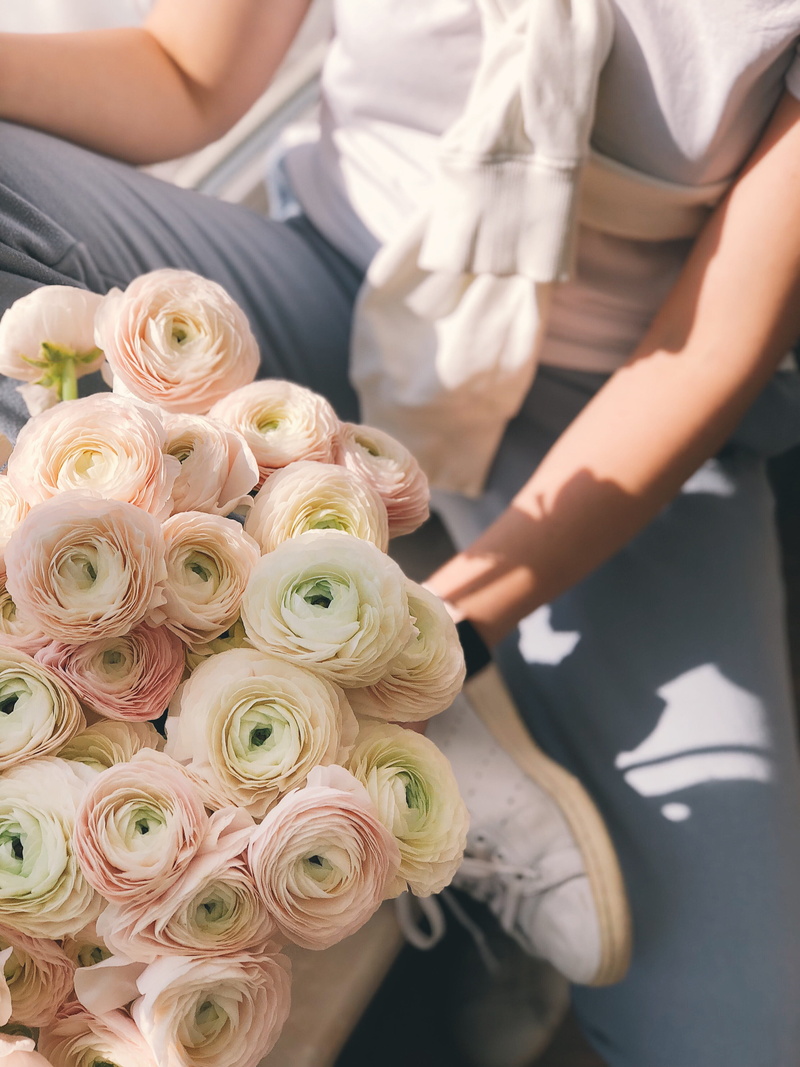 roses, marriage, rose, outdoors, flower, holding, groom, flowering plant, lifestyles, person, men, human, nature, pink, hand, woman, people, flower arrangement