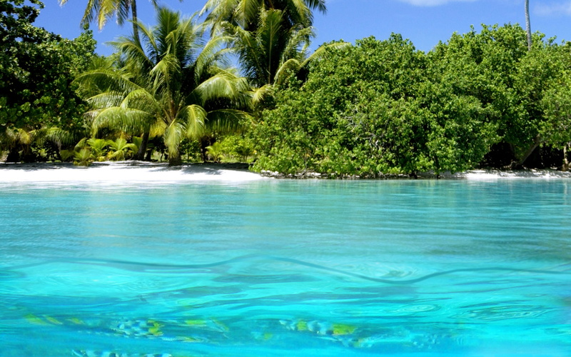 nature, body, 2K, sky, blue, blue sky, tree, landscape, wave, beach, coconut, holidays, water, sea, green
