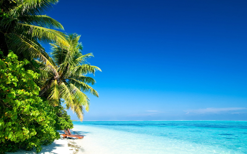 palm trees, blue sky, 1080P, holidays, nature, sky, wave, blue, sea, beach, landscape, palm, trees