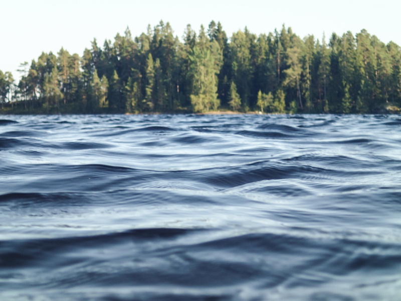 river, motion, plant, backgrounds, landscape, rippled, surface level, foliage, forest, beauty in nature, day, tree, ripple, scenics, trees, scenic, purity