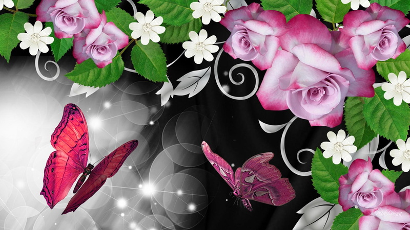 fabulous, butterfly, eye-opening, pink, histrionic, 1080P, wondrous, animated, shine, exciting, dramaturgical, marvelous, illustration, flower, sensation