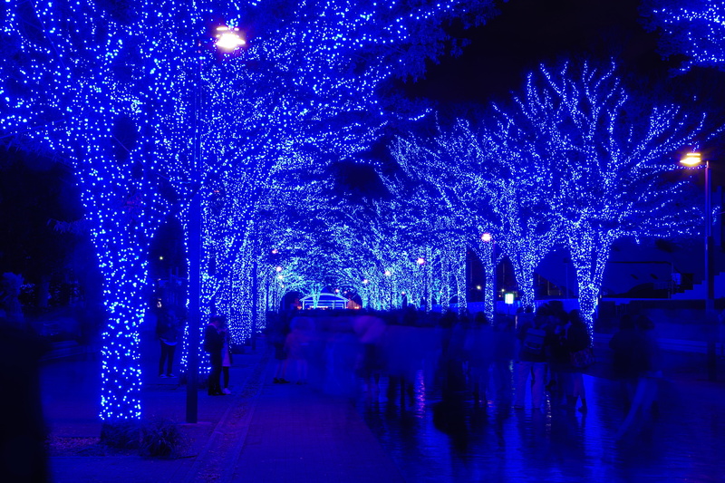 real people, lights, blue, lighting, treelined, low, holiday, blue cave, purple, angle, city, christmas decoration, walkway, person, asphalt, tarmac, light