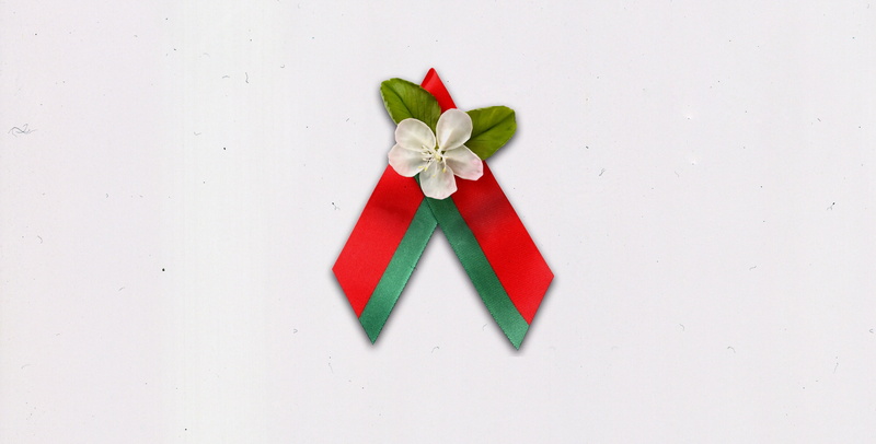 Belarusian Republican youth Union, Apple blossoms, Flowers Of The Great Victory, 2K, May 9, Symbol, Belarus