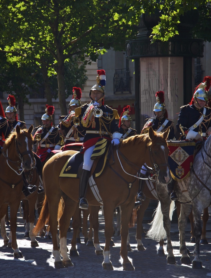 summer, pets, outdoors, street, day, patrol, livestock, men, working animal, group of people, trumpet fanfare, honor, domestic animals, paris, mammal, military