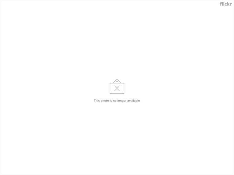backgrounds, texts, badge, outline, photo, lizard, straight, symbol, longer, sign, 480P, available, insignia, vector