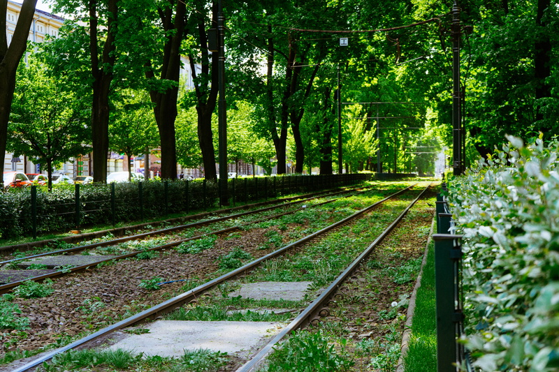tranquility, spring, a7ii, beauty in nature, tree, a7mk2, transportation, growth, railroad track, rail transportation, green, travel, trees, sunny, public transportation