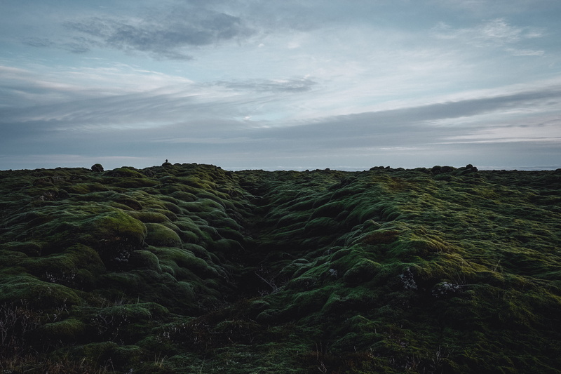 sonyalpha, 2K, field, environment, eternity, sony, green color, cloud - sky, day, plant, scenics - nature, nature, growth, no people, landscape, beauty in nature