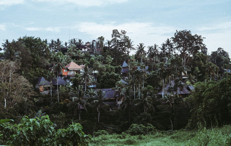 environment, landscape, palms, house, sky, no people, land, garden, sonyalpha, sonya7sii, building exterior, tree, green color, building, outdoors, plant