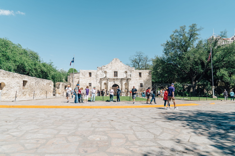 plant, person, #travelnow #sanantonio #igsanantonio #sanantoniospurs #igsanantoniotexas #satx #exploresanantonio #streetphotography #photography #sonyalpha #unsplash #mobilemag #folkgood #lifeofadventure #discoverearth #outplanetdaily #liveauthentic #visualsoflife #stayandwander #street #planetgood #forgeyourownpath #createcommune #explorerocreate #besttexas #sanantoniotx #texas #igtexas @igsanantonio
